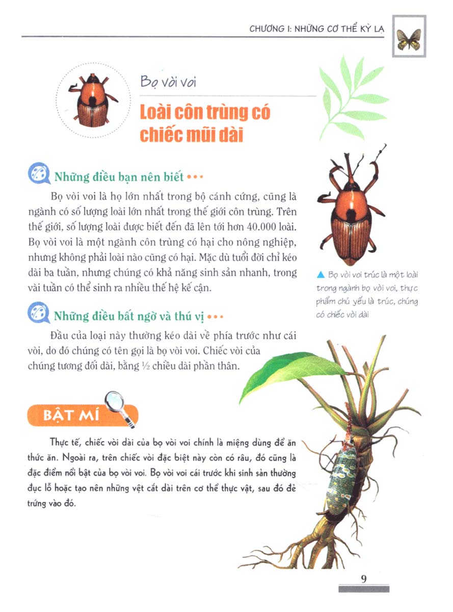 Khám Phá Bí Ẩn Thế Giới Tự Nhiên Dành Cho Học Sinh : Côn Trùng_ML