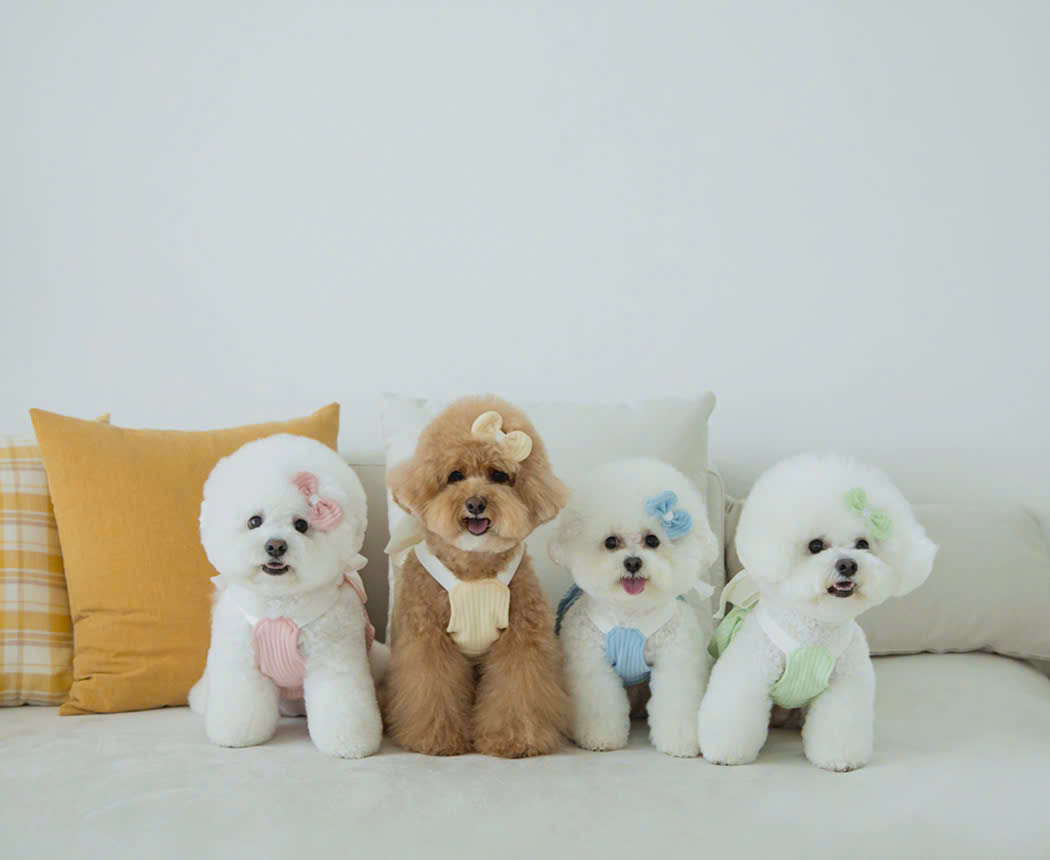 VÁY HỒNG NƠ XINH TỪ 1-7KG DÀNH CHO CHÓ MÈO