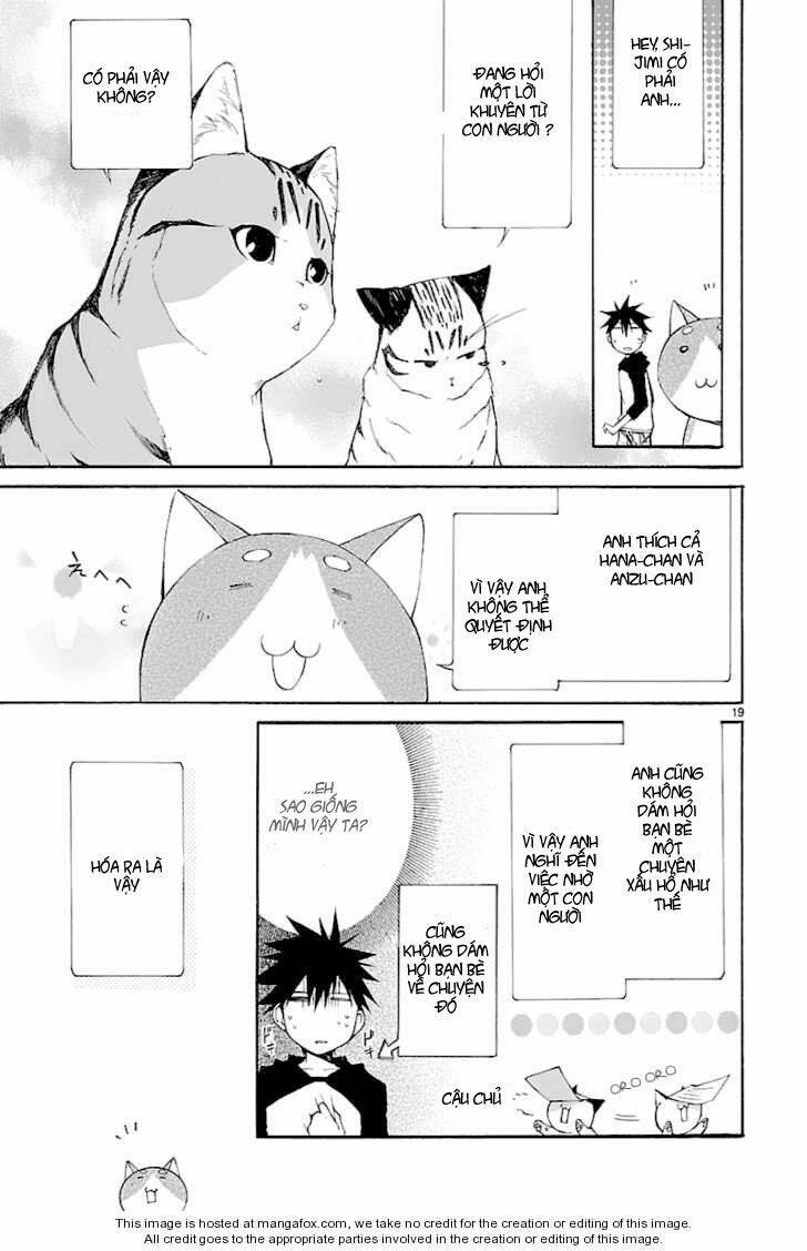 nyankoi! chapter 26 19