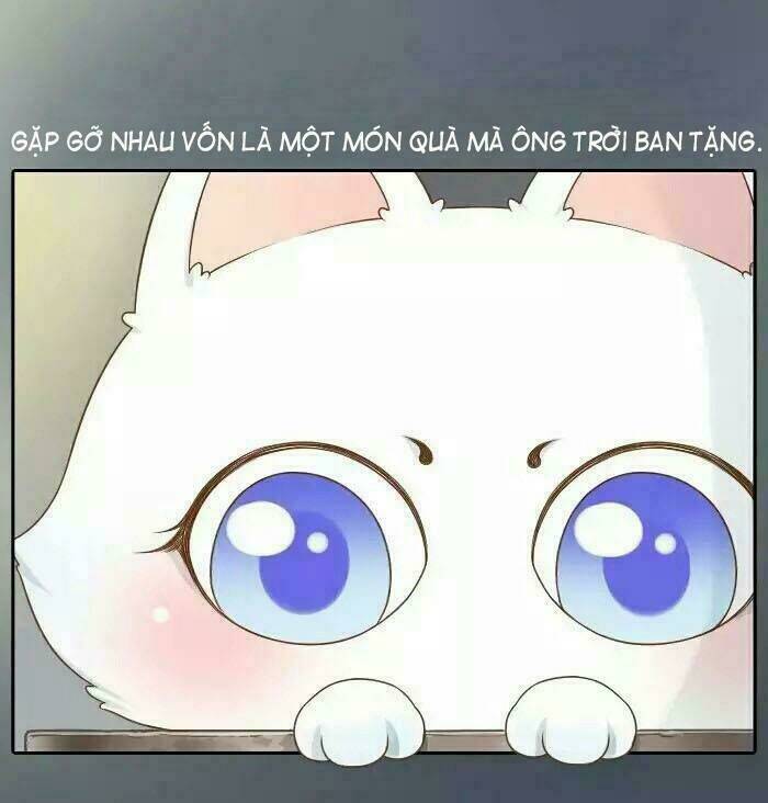 tiểu hồ ly vs tiểu hóa thượng chapter 13 19