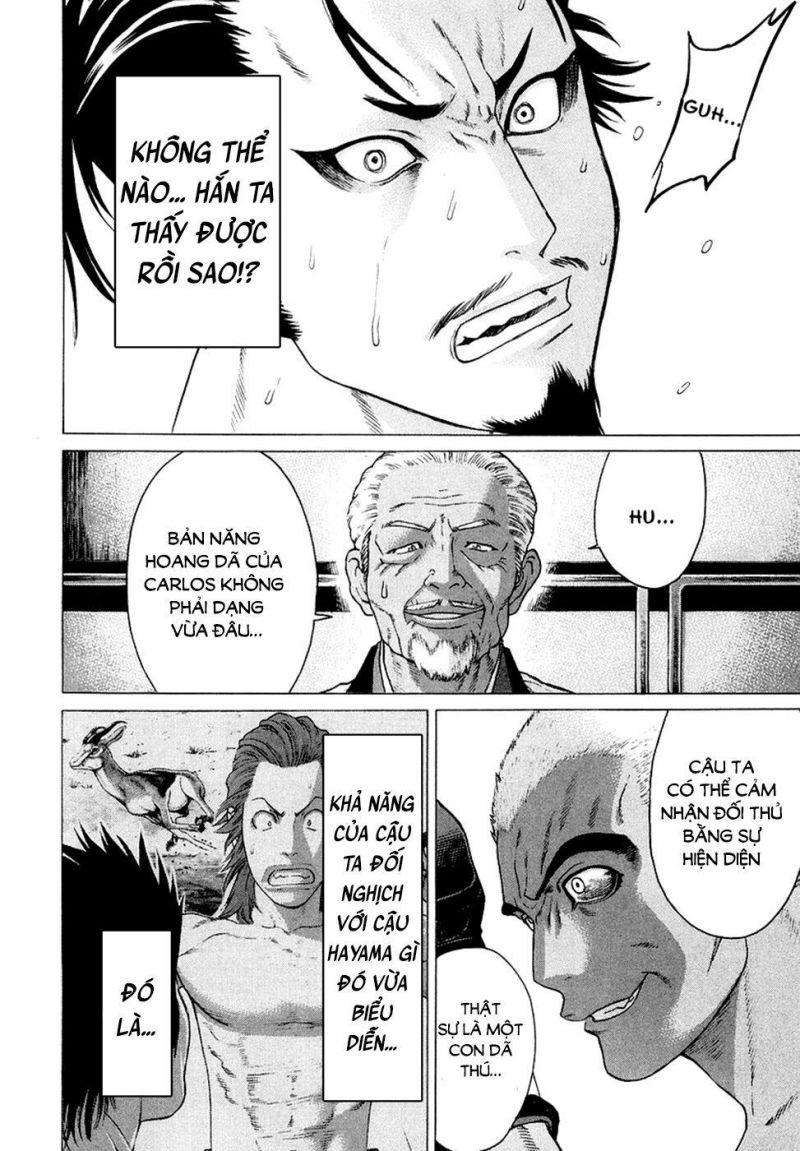 karate shoukoushi kohinata minoru chapter 205 14