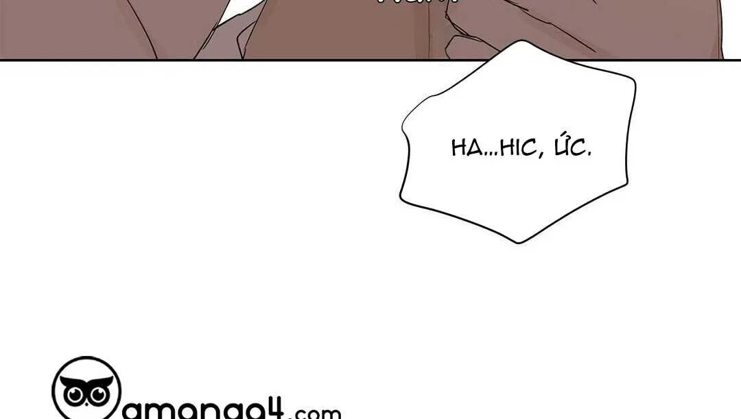 guide cấp b chapter 41 173