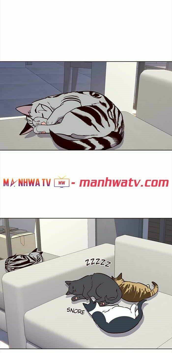 biến thân thành mèo chapter 23 30