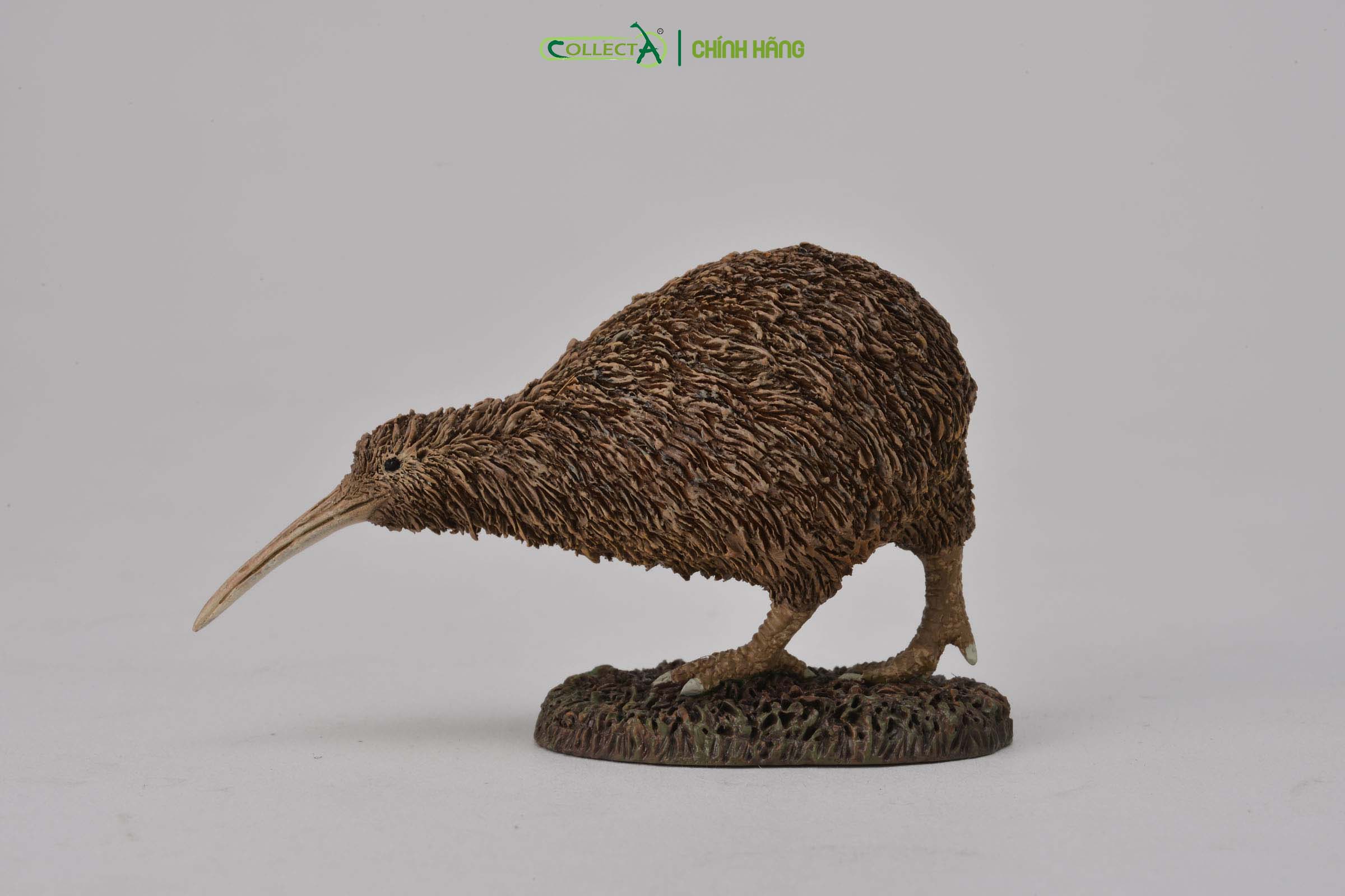 Mô hình thu nhỏ: Kiwi - Kiwi, hiệu: CollectA, mã HS 9651320[88731] -  Chất liệu an toàn cho trẻ - Hàng chính hãng