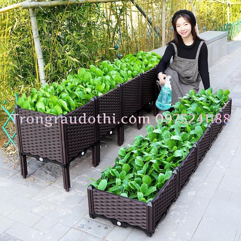 Chậu thông minh lắp ghép trồng rau sạch 120x40x22cm, đẹp, bền 5-7 năm