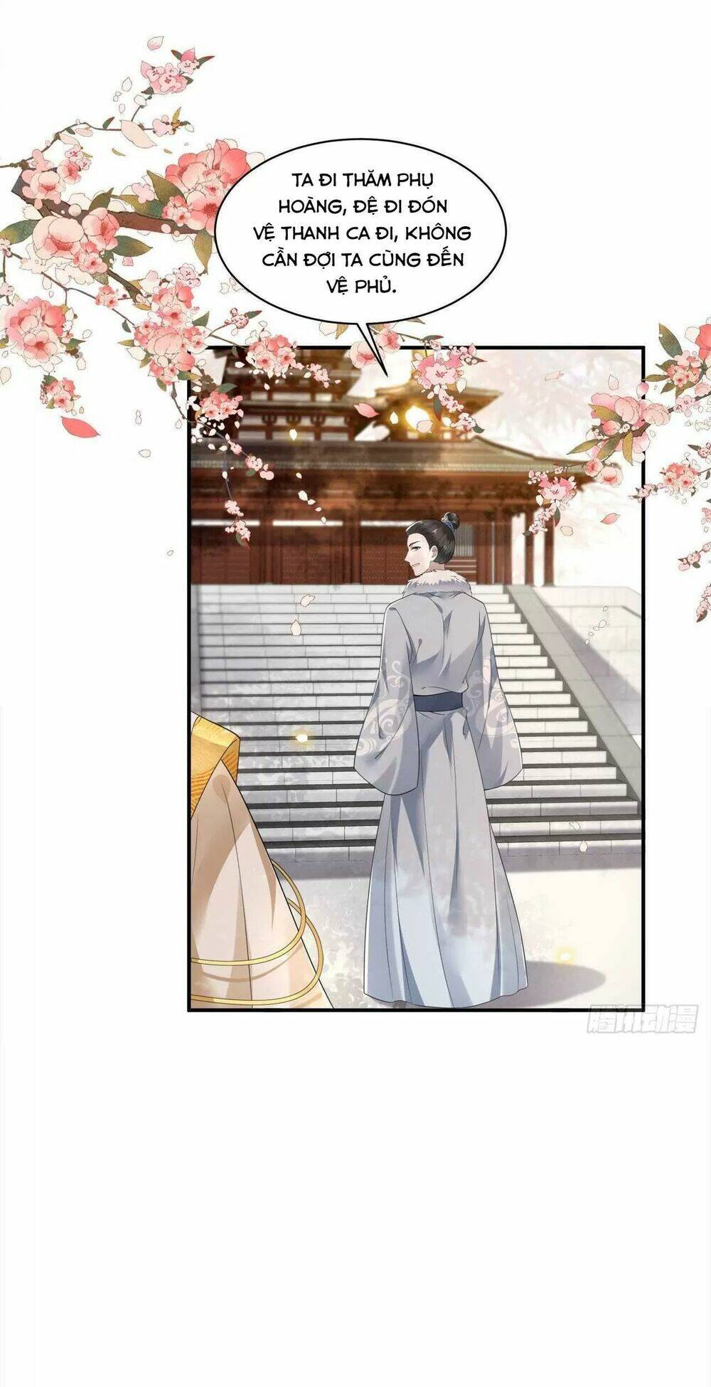 phượng hoàng vu phi chapter 102 18