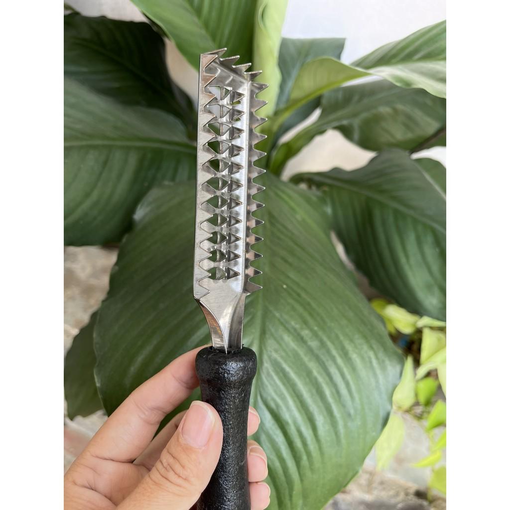 Dụng cụ đánh vảy cá bằng inox không gỉ, cán nhựa pp chắc chắn, dài 21cm độ bền cao, vệ sinh dễ dàng của gia dụng Du Thủy