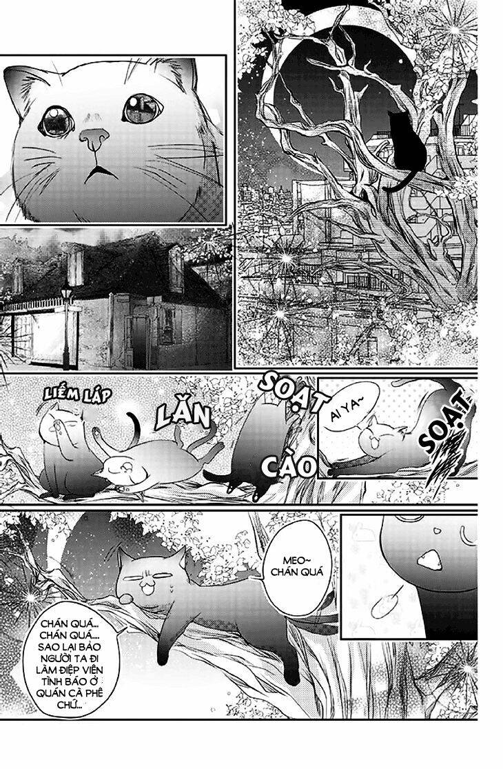 chữ thập nhuộm máu chapter 14 21