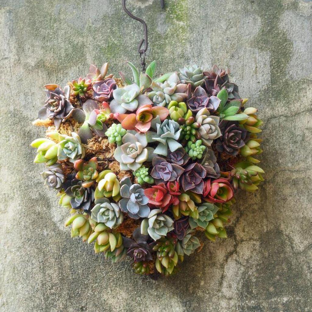 2pcs Iron Frame Ball&Heart Succulent Pot Metal Planter Iron Box Romantic
