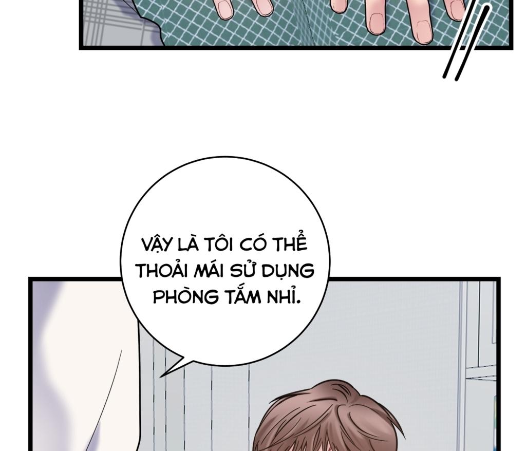 tình yêu bình dị nhất chapter 13 52