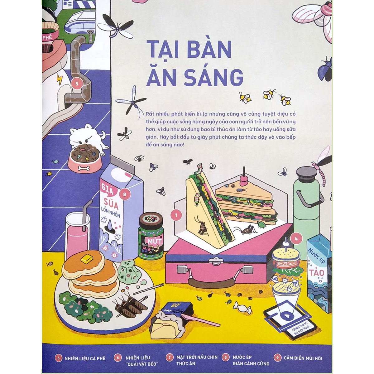 Bọ Cho Bữa Sáng Và Những Giải Pháp Thân Thiện Cho Tương Lai