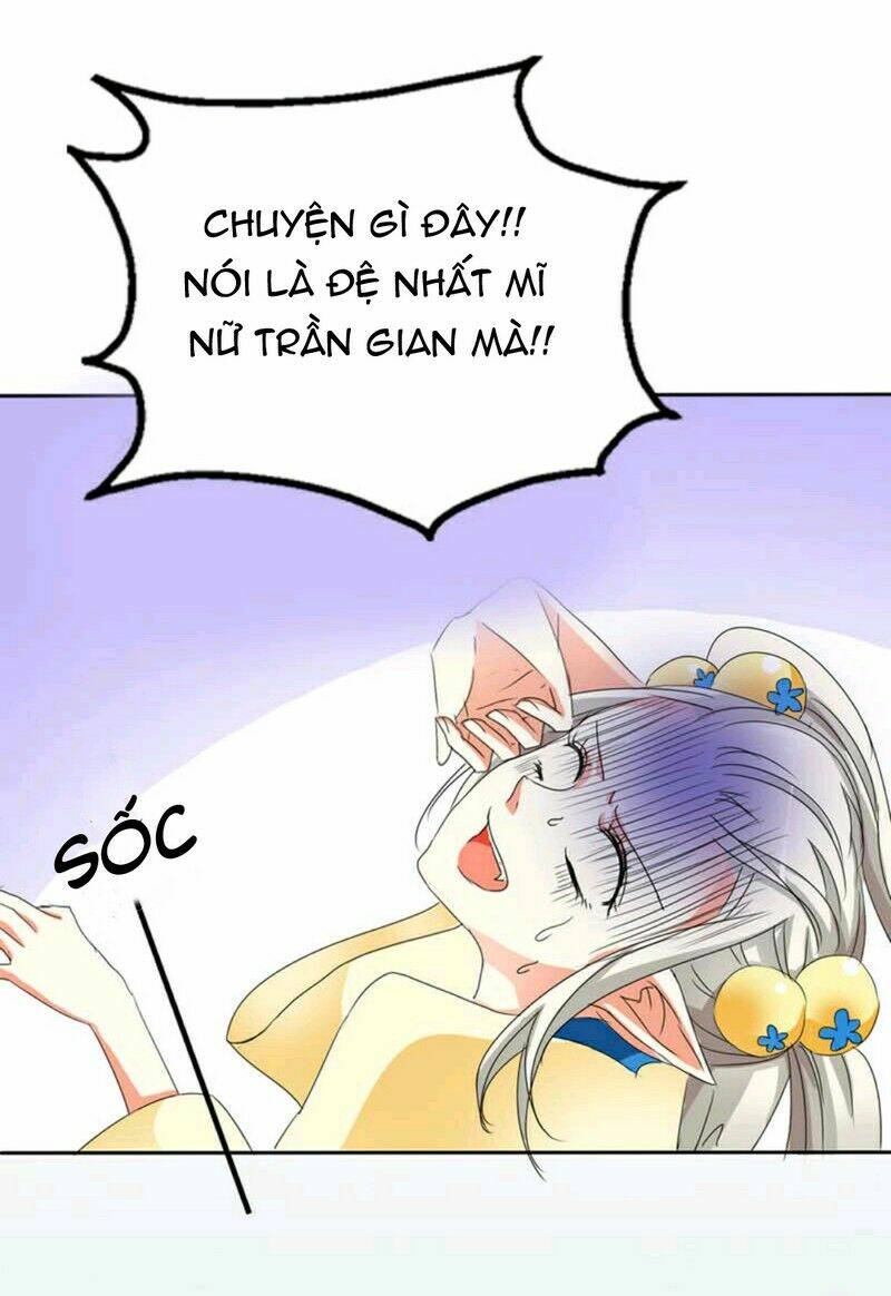 động vật nhỏ thật đáng yêu chapter 8 8