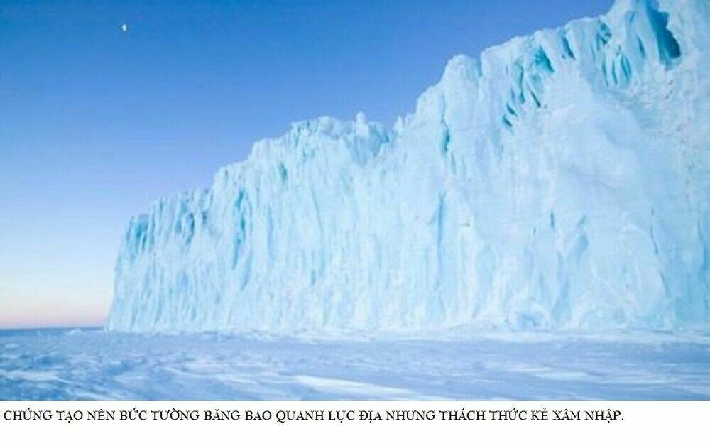 tân châu nam cực (new antarctica) chapter 0 3