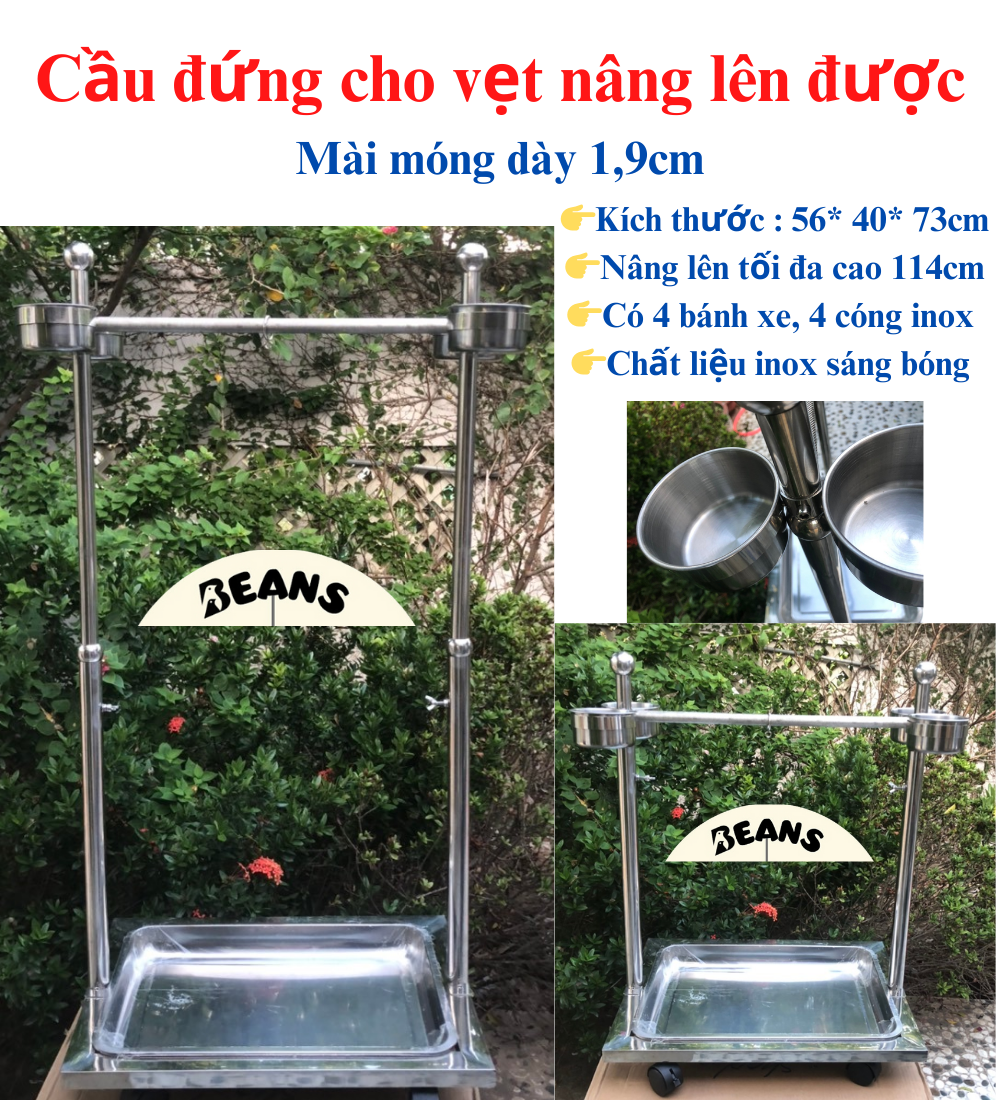 Cầu đứng inox dành cho tất cả các dòng vẹt từ nhỏ đến trung như xích, sun, lory, ngực hồng,... hàng đẹp