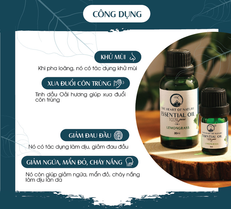 Tinh Dầu Cao Cấp Lavender PK 100ml - Tinh Dầu Oải Hương Thơm Phòng, Đuổi Muỗi, Thư Giãn - Chứng Nhận Hữu Cơ Organic FDA Hoa Kỳ duy nhất Việt Nam