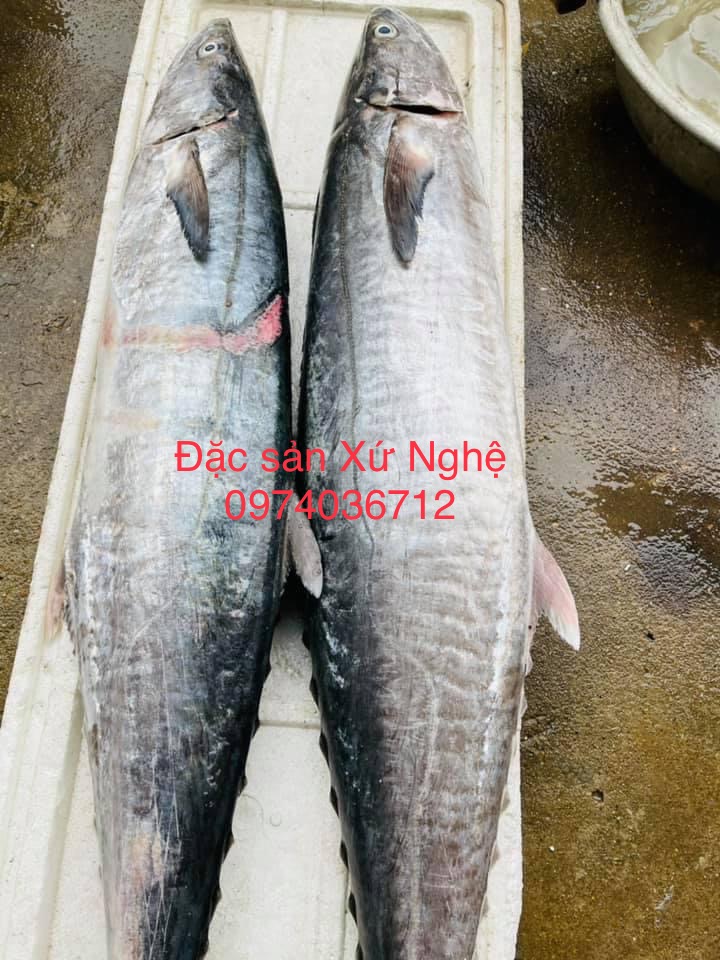 CÁ THU TƯƠI CẮT LÁT - 600g