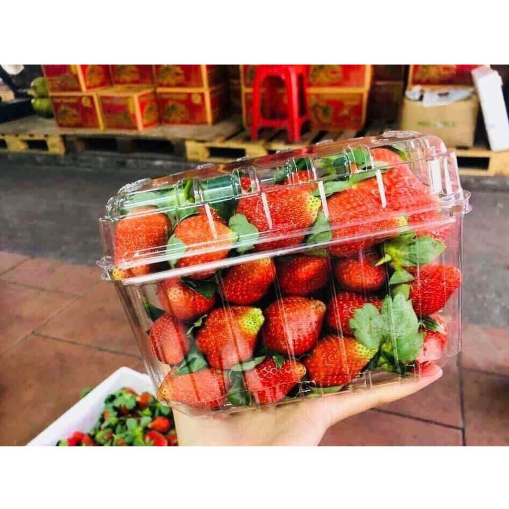 Hộp Nhựa trong đựng hoa quả, trái cây