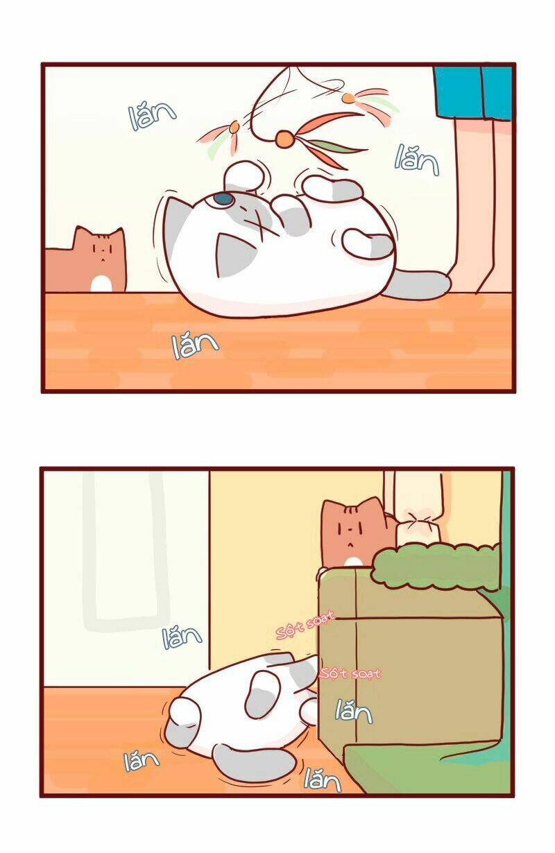saphie: chú mèo một mắt chapter 18 2