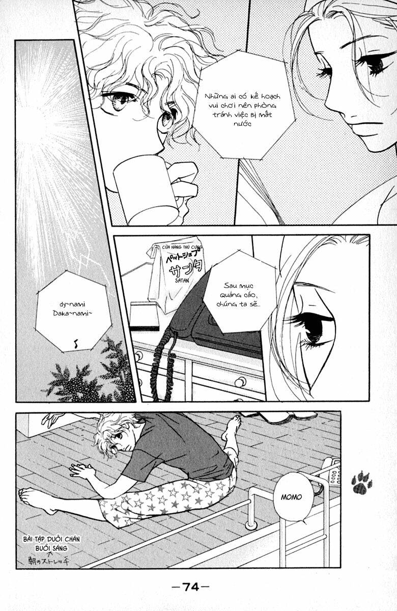 kimi wa petto chapter 13 12