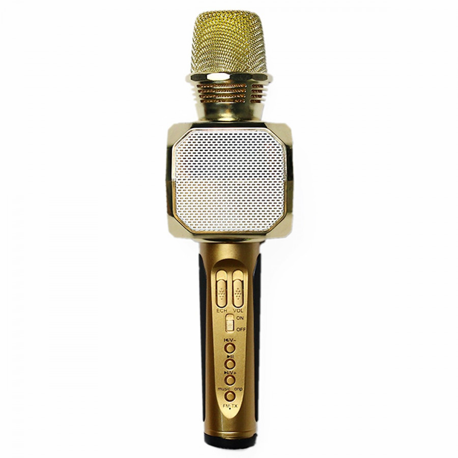 Micro Karaoke Kèm Loa Bluetooth SD10 Có Khe cắm Thẻ nhớ và USB (Tặng kèm USB 4Gb)