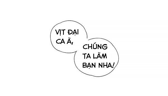 sẻ chiếu mới và nhạn phong sương chapter 10 15