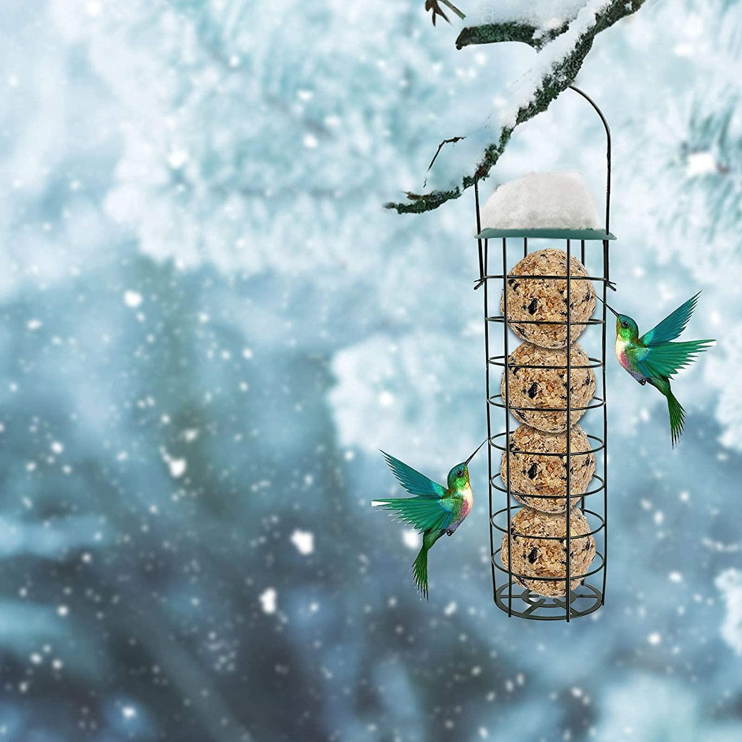 Giảm bớt cho chim hoang dã, người ăn chim, thức ăn cho chim ngoài trời, nhà phân phối thức ăn cho chim, nhà phân phối thức ăn cho chim vườn