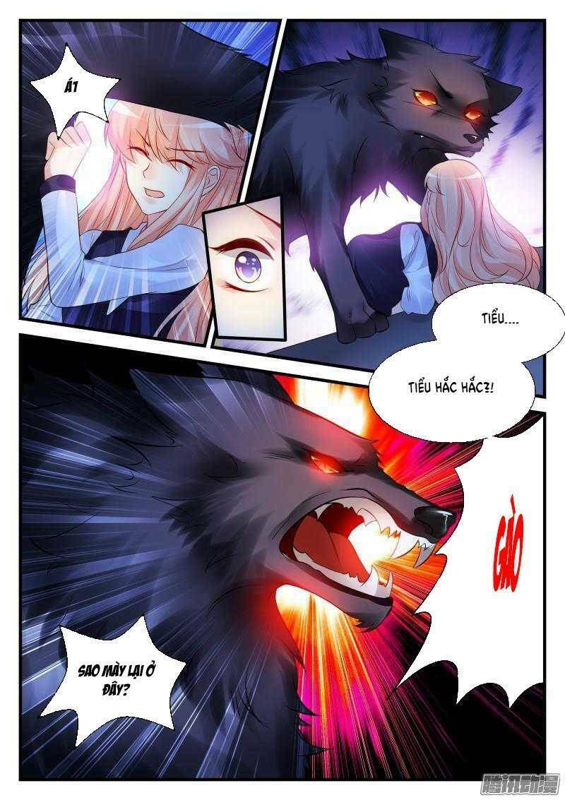 dạy bảo ma vương lão công chapter 74 5