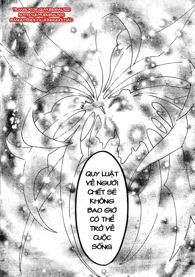 huyền thoại đôi cánh chapter 213 13