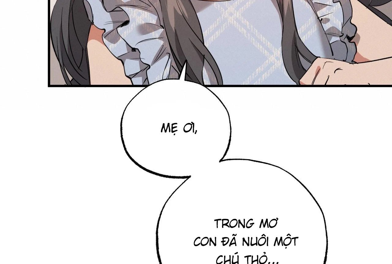 những chú thỏ của hapypy chapter 65 32