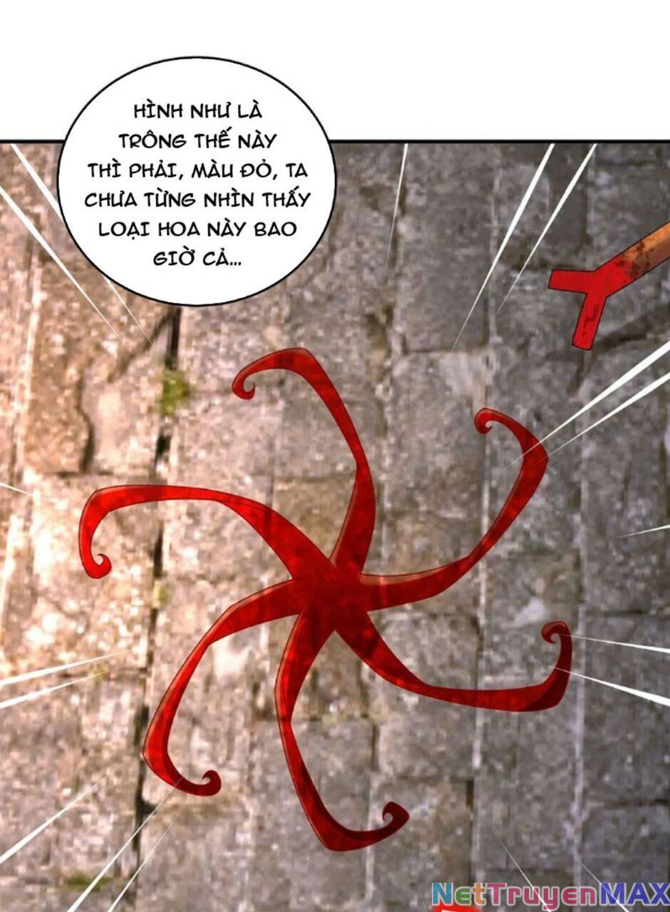 tuyệt thế đạo lữ chapter 71 39