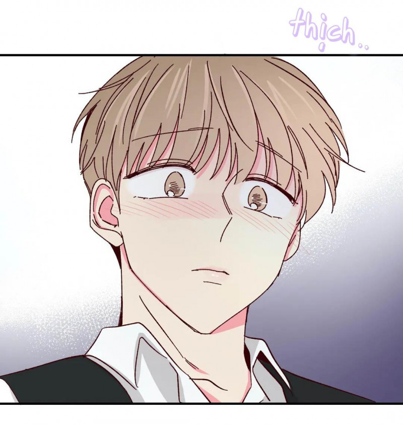 món tráng miệng của sếp tổng chapter 46 29