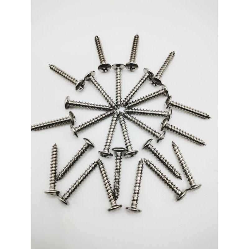 ỐC VÍT ĐẦU DÙ INOX COMBO 500G,BẮN TƯỜNG,BÊ TÔNG,GỖ,4.0×25MM, CHẮC CHẮN.
