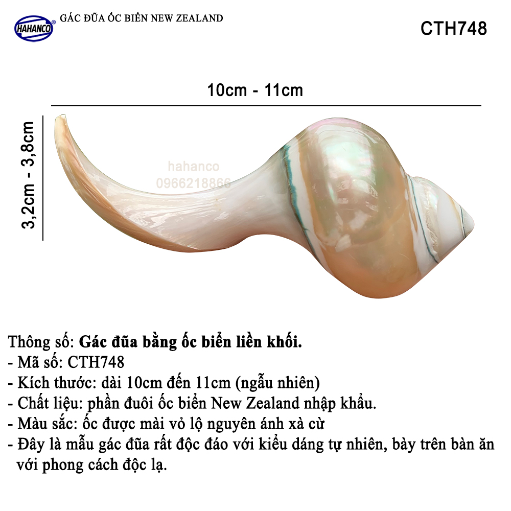 Gác đũa ốc biển New Zealand độc đáo (1 Chiếc) CTH748 - đặc sắc riêng khi bày trên bàn ăn - Nghệ Thuật Ẩm Thực Việt - HAHANCO