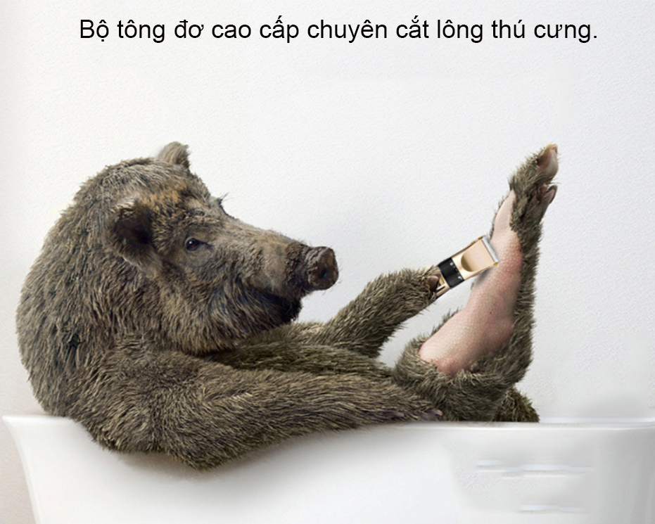 Tông đơ chó mèo cạo lông thú cưng + Bộ nhiều phụ kiện tỉa móng - Sói bạc AGD-P60