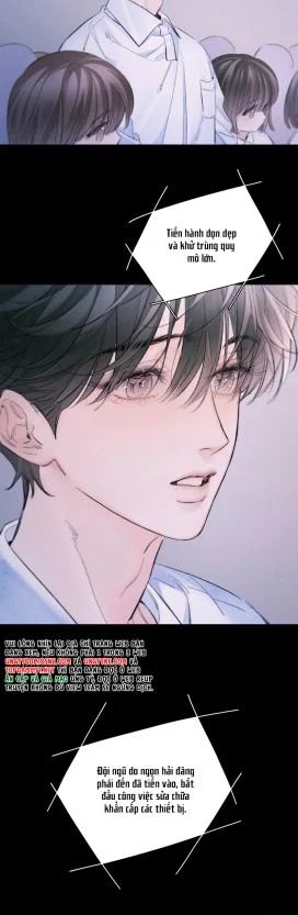 cây nấm nhỏ chapter 52 7