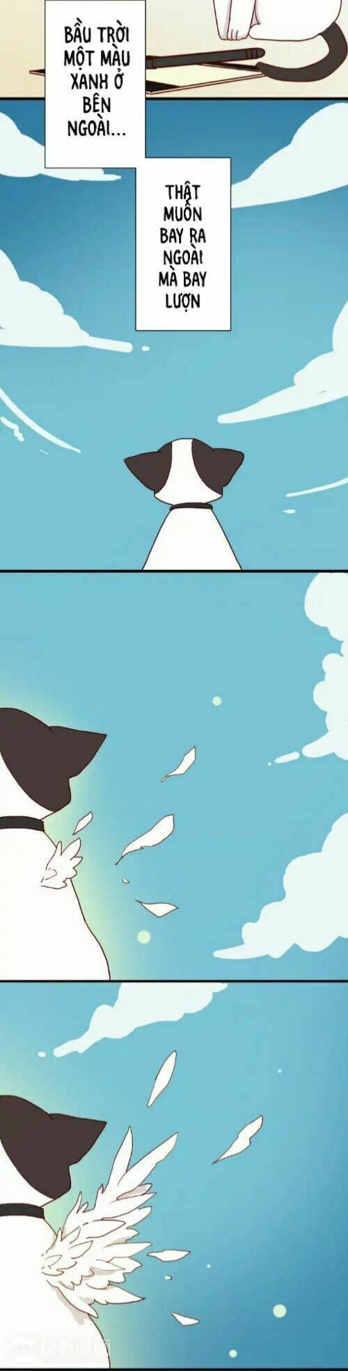 gấu nhỏ dư và thỏ thỏ hứa chapter 13 33