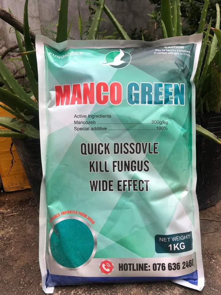 THUỐC TRỪ BỆNH MANCOZEB XANH, NGUYÊN LIỆU ẤN ĐỘ