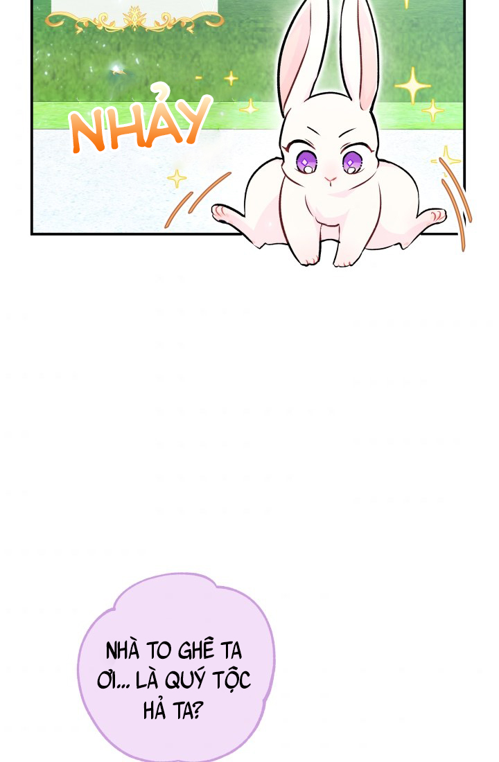 mối liên kết giữa báo đen và bé thỏ chapter 3 48
