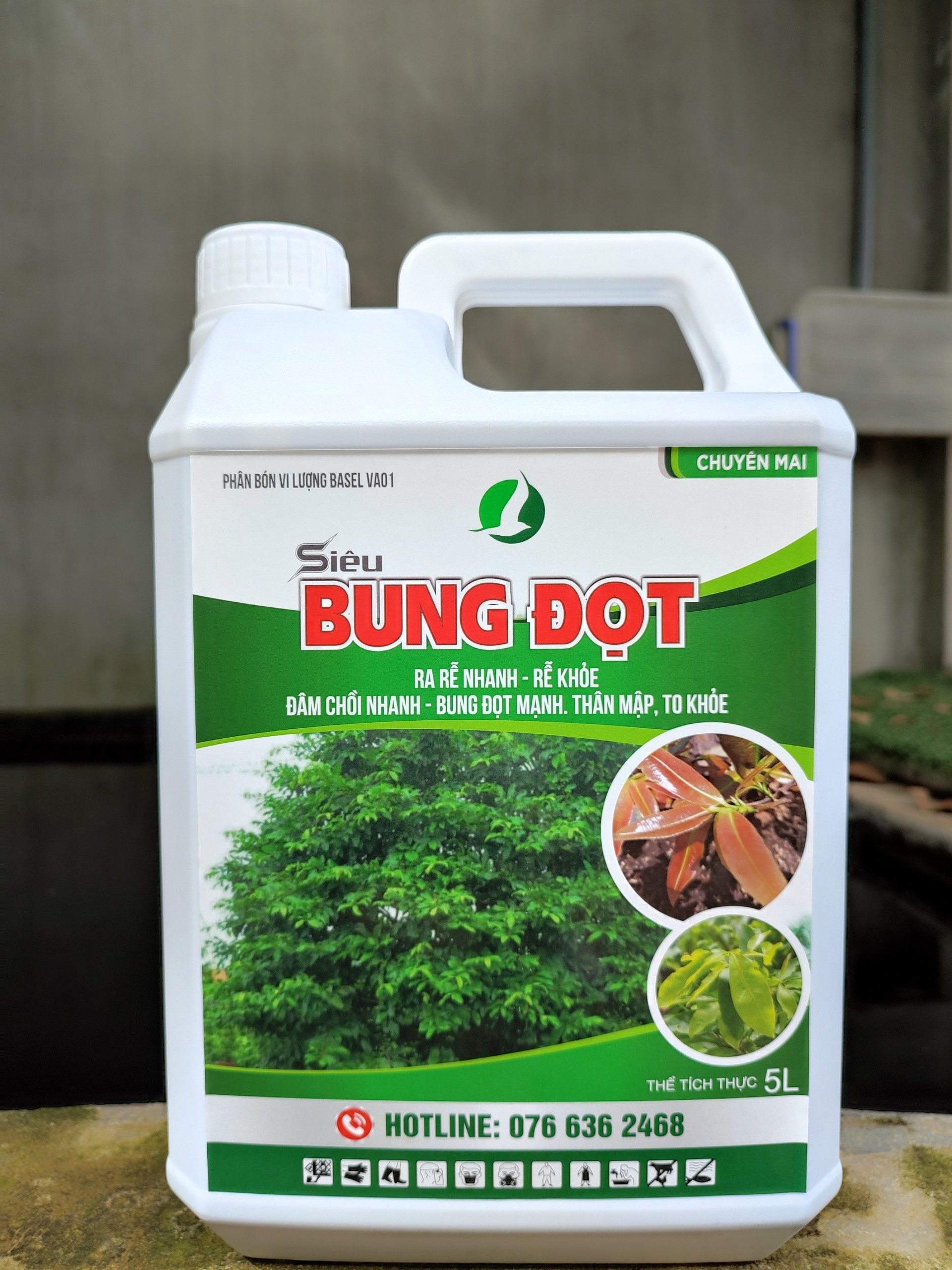 SIÊU BUNG ĐỌT CHUYÊN CHO MAI - Giúp cây tăng trưởng, nhú đọt mạnh, giúp lá dày xanh bóng