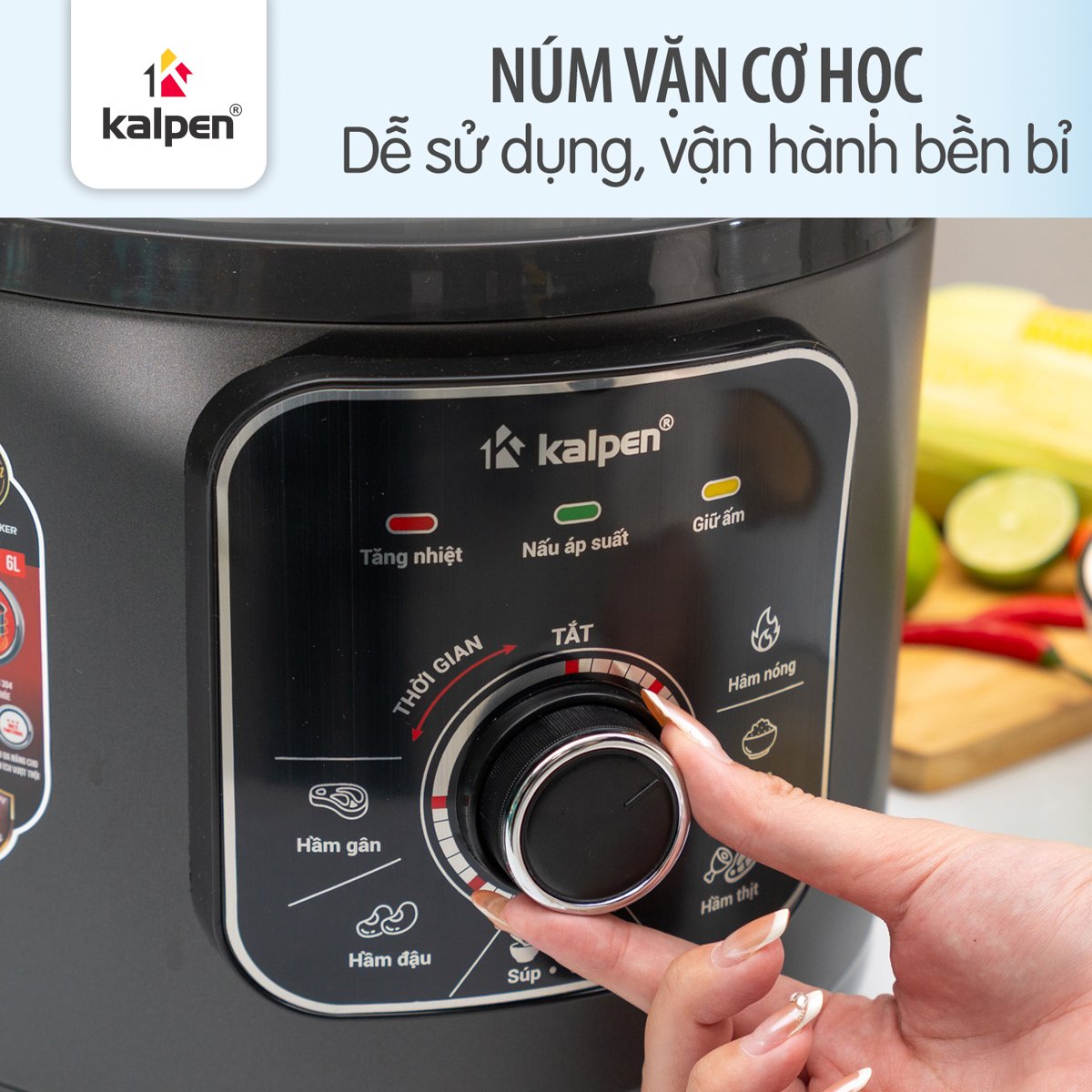 Nồi áp suất điện lòng nồi inox 304 dung tích 6L, Núm vặn cơ dễ sử dụng KALPEN P8 - Hàng chính hãng