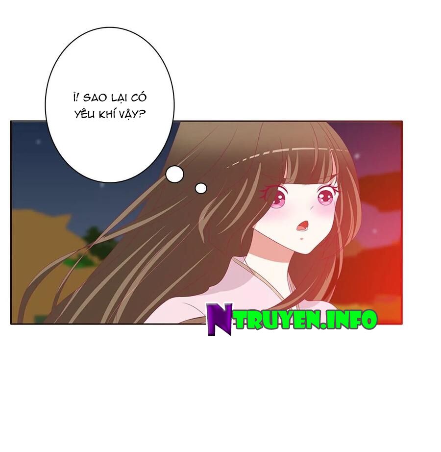 thông linh phi chapter 632 9