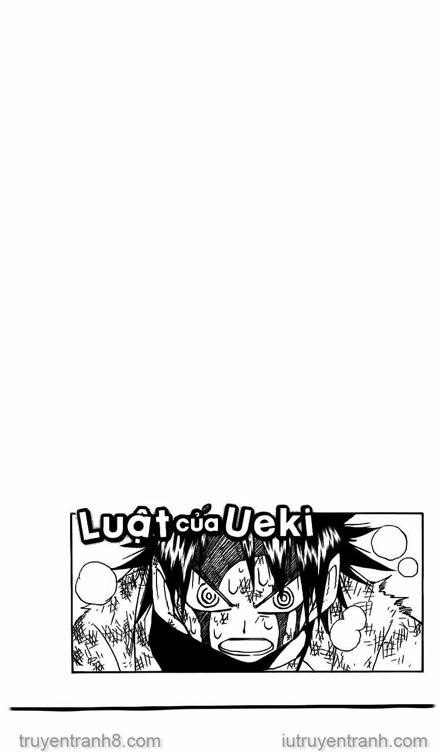 law of ueki chapter 81 22
