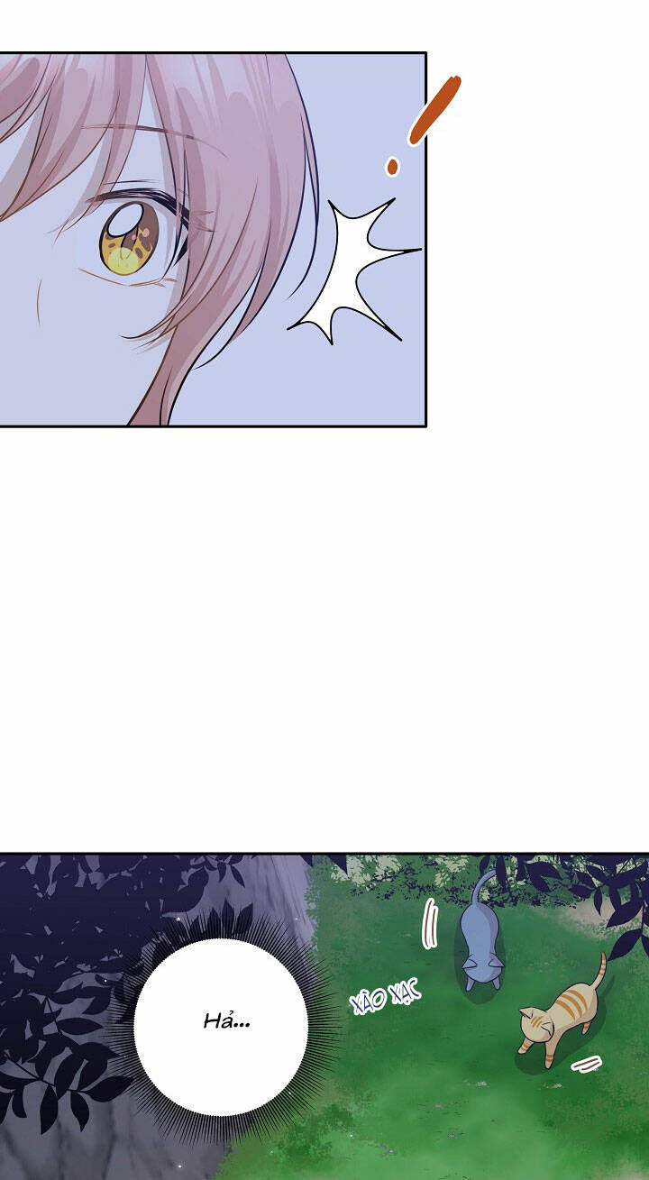cuộc sống kỳ thú chapter 97 6