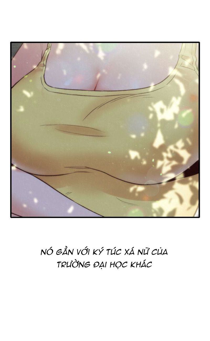 cô gái bé nhỏ của tôi chapter 1.2 4