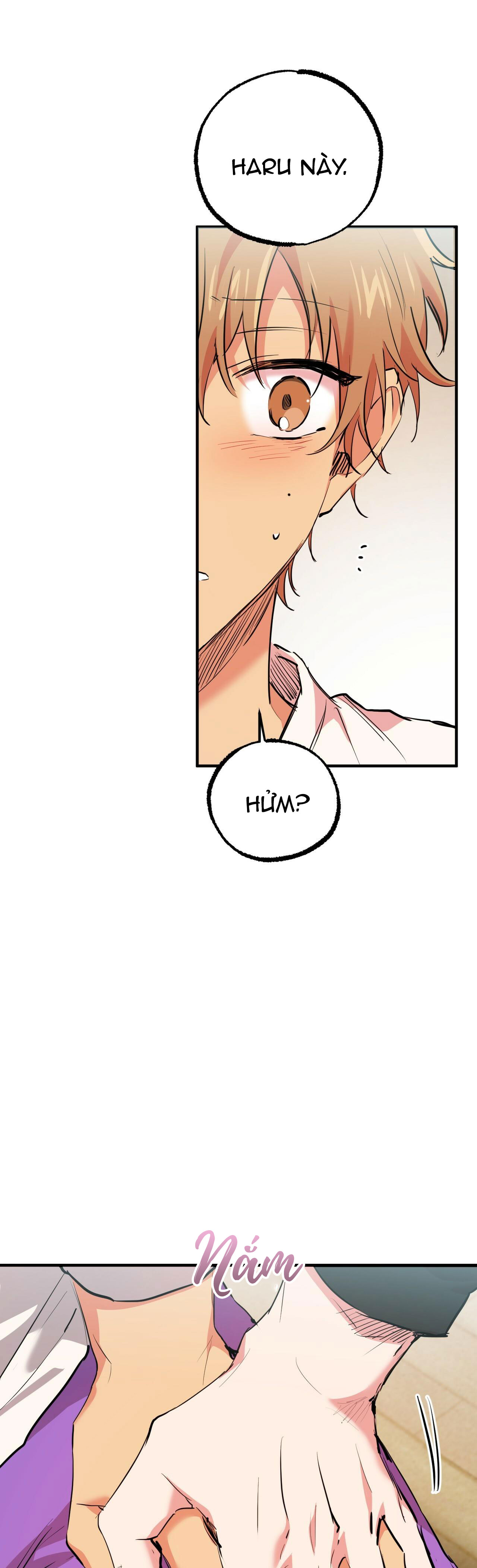 những chú thỏ của hapypy chapter 35 36