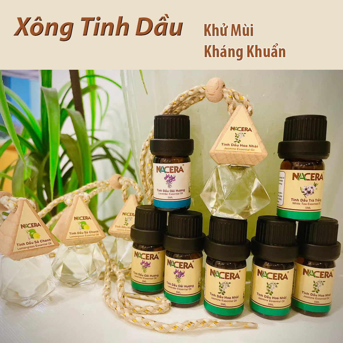 Tinh dầu Bạc Hà 10ml Giúp làm thơm phòng, kháng khuẩn, có kiểm định chất lượng