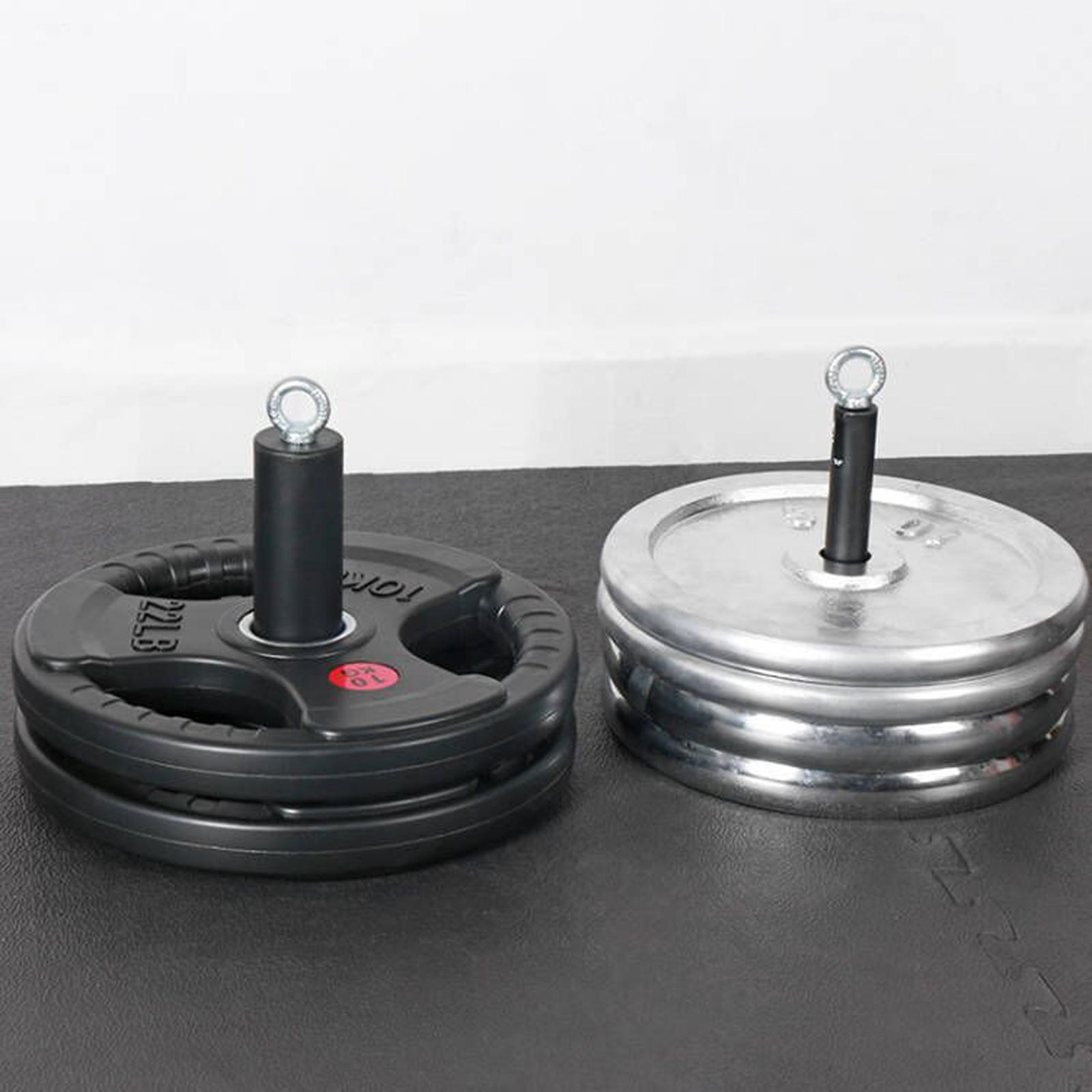 Adjustable Kettlebell Handle for Plates Weights, Multifunctional Kettlebell Grip for Dumbbell Push up for Gym Workout, Comfortable Kettlebell Grip