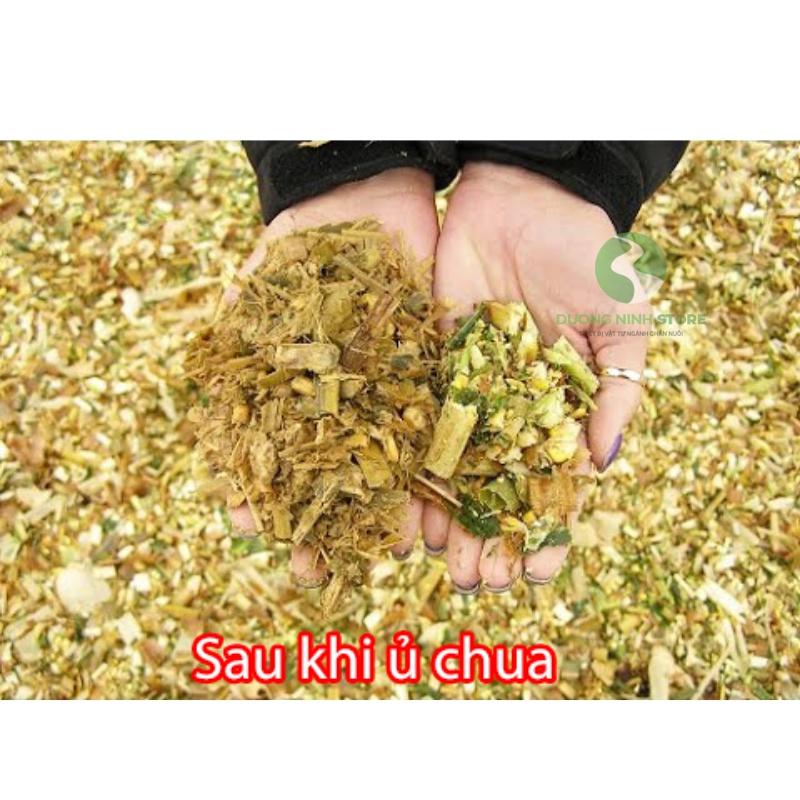 Bao ủ cỏ chua túi ủ cỏ có lót nilong dày cho gia xúc BU64