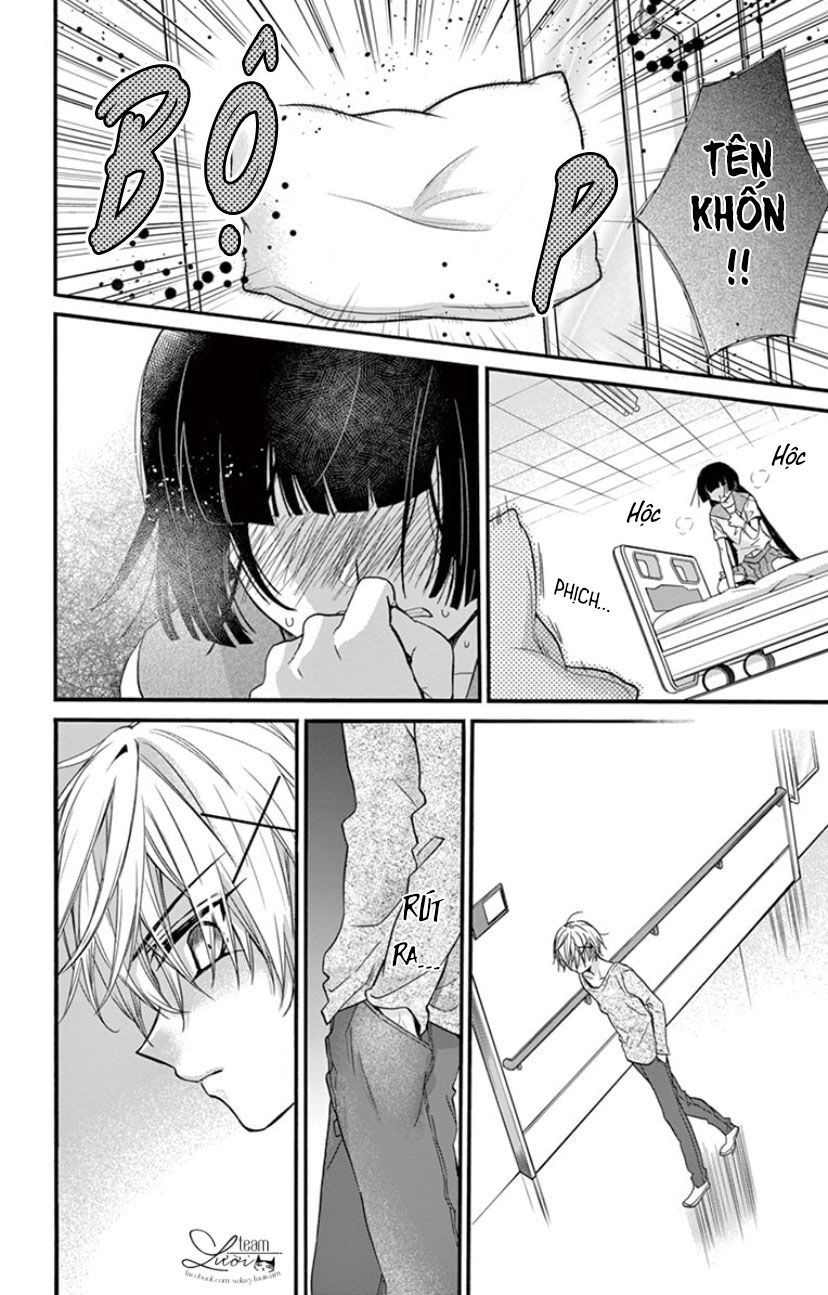 chàng rể giả nhân giả nghĩa chapter 20 28