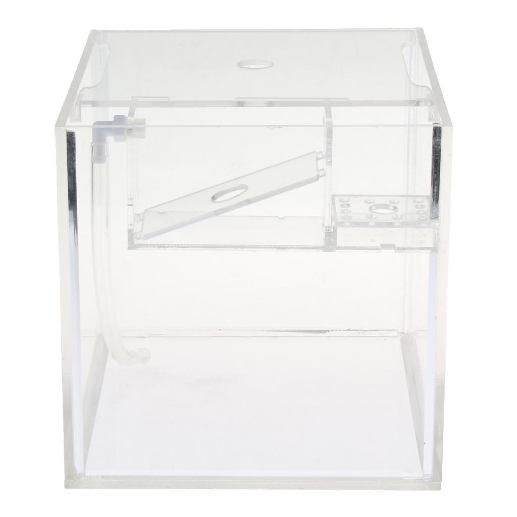 Tropical Betta Mini Tank Arcylic Aquarium Small Tank